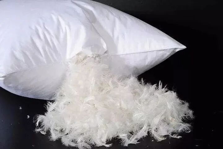 没有羽毛服装，却有羽毛被子？羽绒羽毛制品该如何分辨