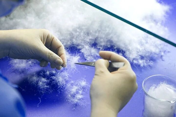 羽绒品质的好坏，可以通过“绒朵数”直接体现